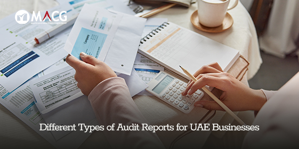 Different types of audit reports